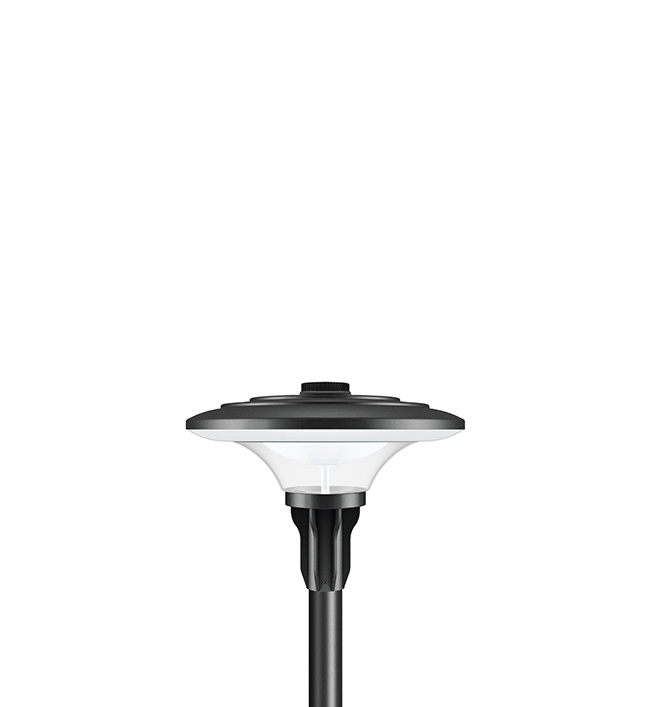 Ani