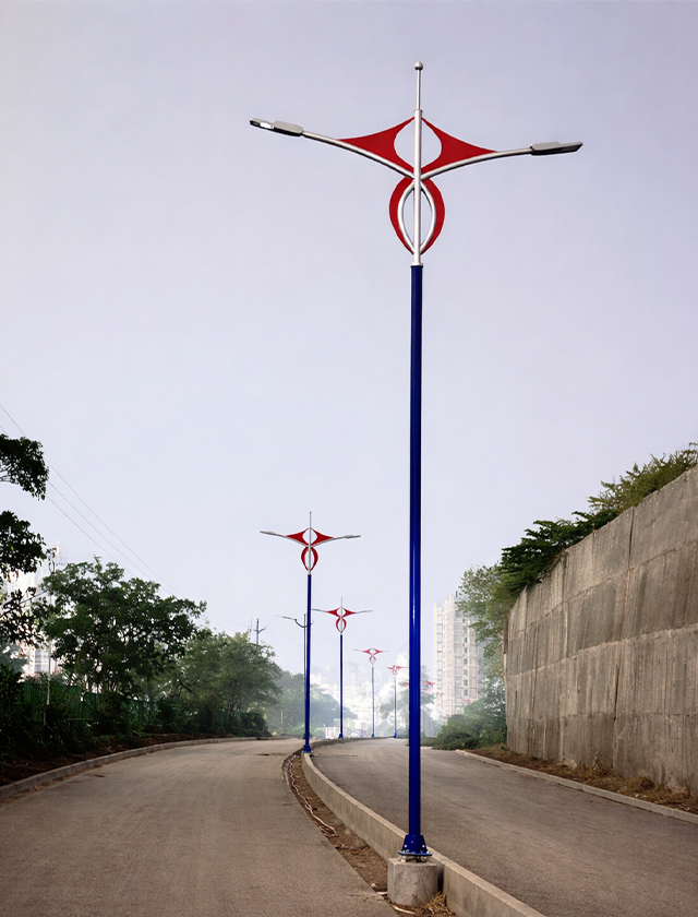 Township project